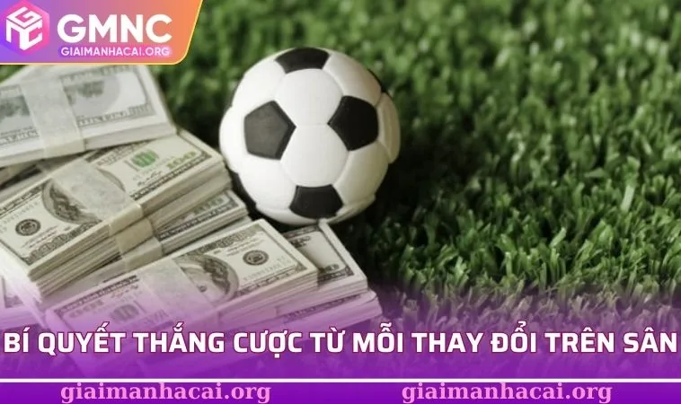 Bí quyết thắng cược từ mỗi thay đổi trên sân