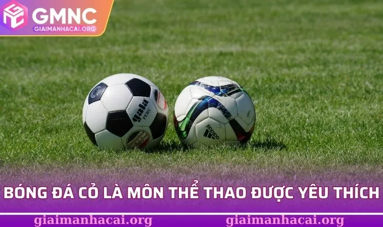 Bóng Đá Cỏ - Sân Chơi Nhỏ, Bí Mật Thắng Lớn Trong Tầm Tay 1 Bóng đá cỏ là môn thể thao rất được yêu thích