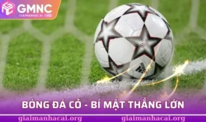 Bóng đá cỏ