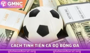 Cách tính tiền cá độ bóng đá