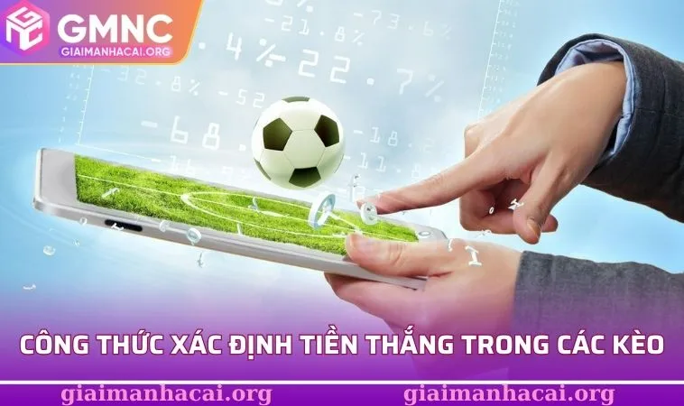 Cách Tính Tiền Cá Độ Bóng Đá - Chỉ Dẫn Đầy Đủ Cho Tân Thủ 2 Công thức xác định tiền thắng trong các kèo bóng đá