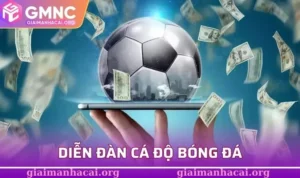 diễn đàn cá độ bóng đá
