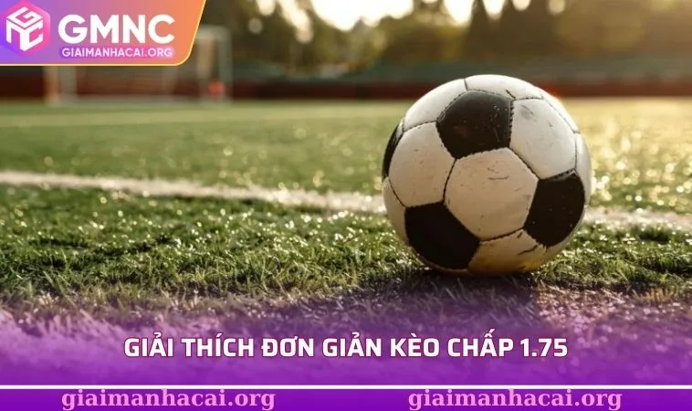 Kèo Chấp 1.75 - Cực Sốc Với Tỷ Lệ Ăn Đậm Khó Cưỡng Lại 1 Giải thích đơn giản kèo chấp 1.75