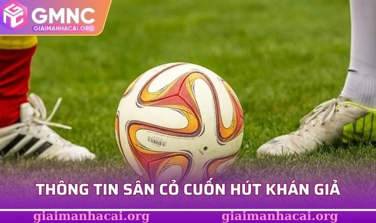 Xem Tin Bóng Đá Nóng Hổi - Cập Nhật Nhanh Từng Phút Giây 3 Thể loại thông tin sân cỏ cuốn hút khán giả