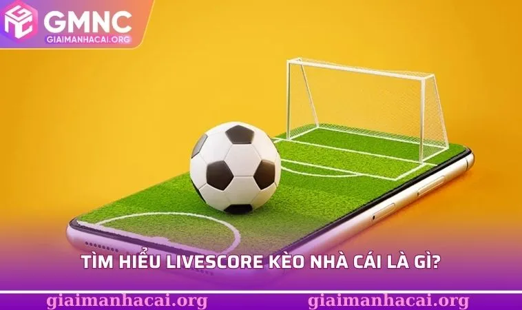 Livescore Kèo Nhà Cái - Lựa Chọn Hấp Dẫn Không Nên Bỏ Lỡ 1 Tìm hiểu livescore kèo nhà cái là gì